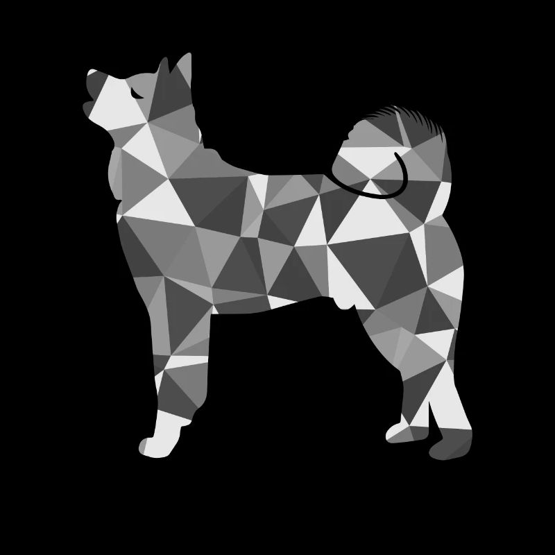 Polygon Akita