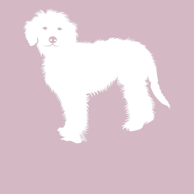 Goldendoodle