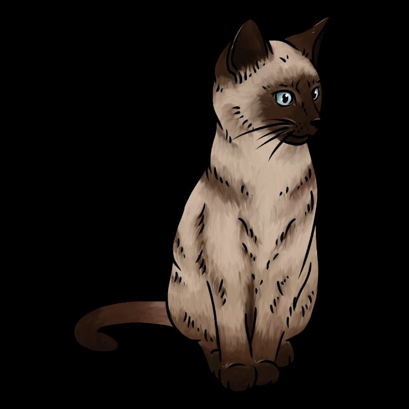 Siam Katze Siamkatze