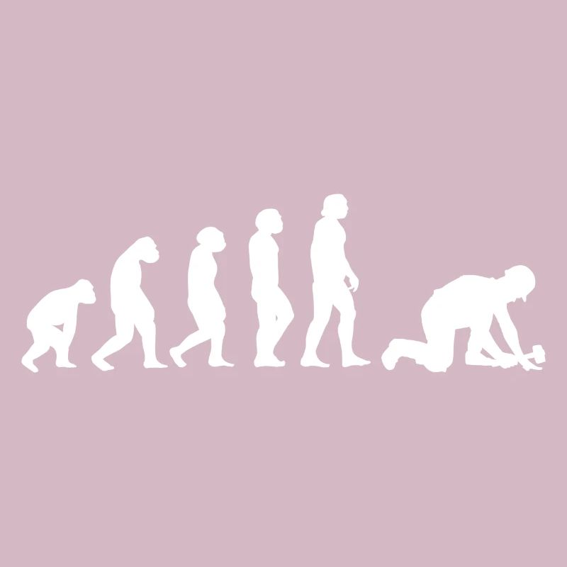 Evolution Pflasterer
