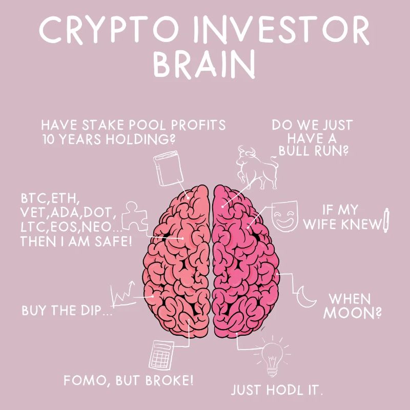 Crypto Investor Brain | Krypto Fan Geschenk