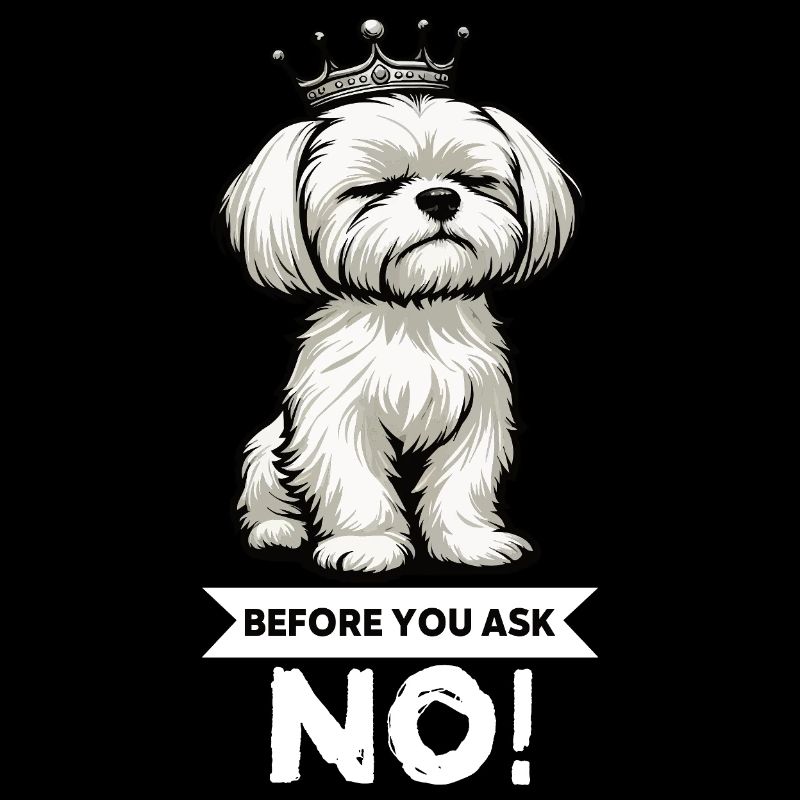 Before You Ask Malteser Maltese Owners Maltese