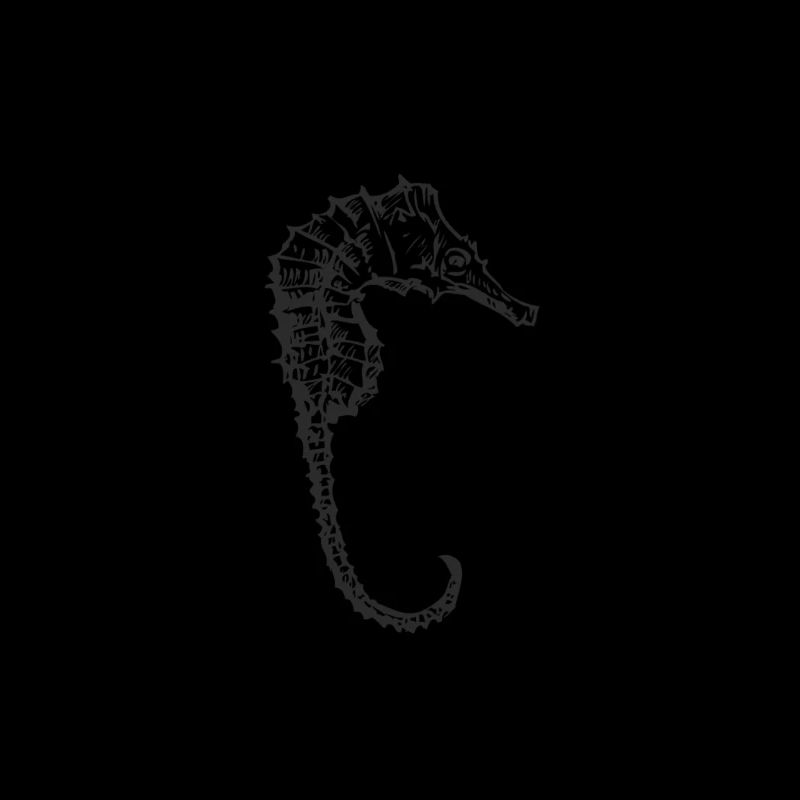 hippocampe
