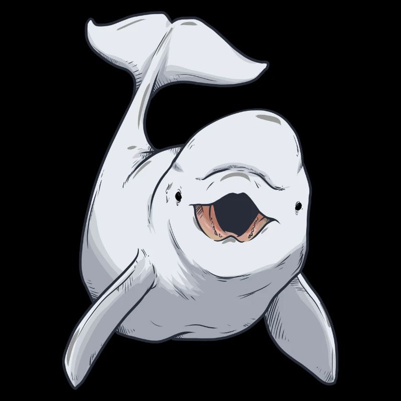 Béluga baleine blanche bébé