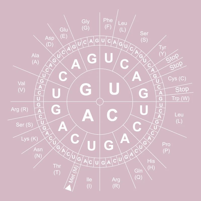 Code-Sun / Génétique / ADN / ADN / Biologie / Sciences