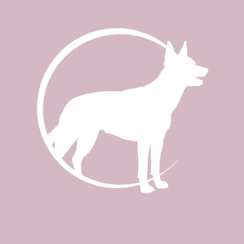 Kelpie australien