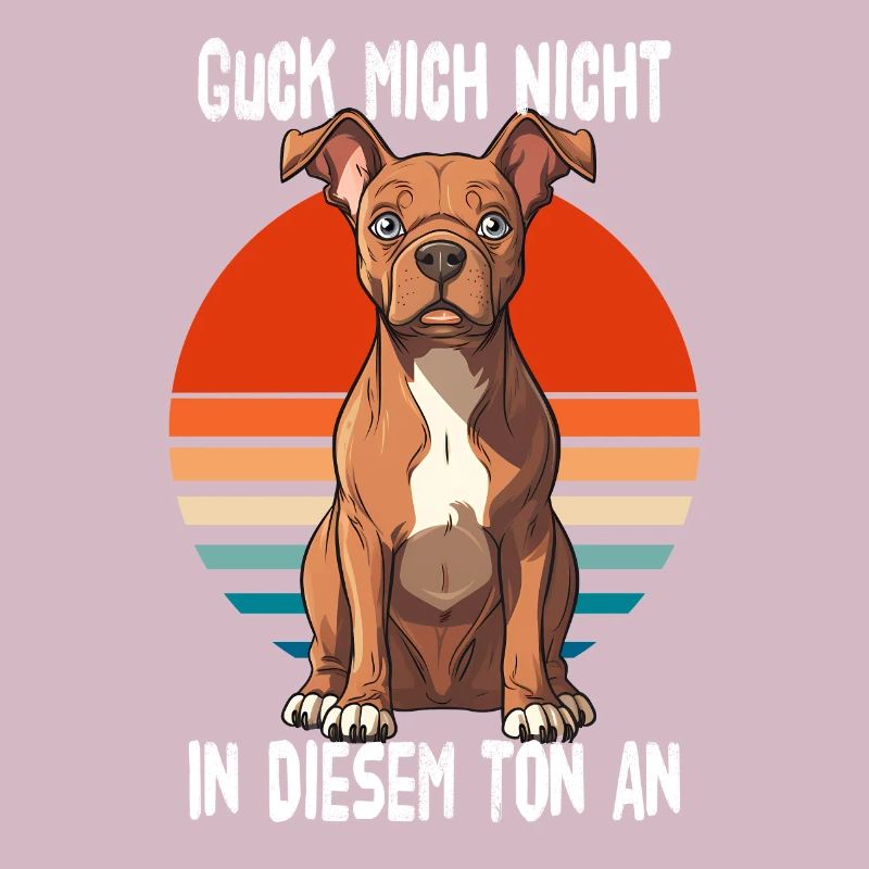 Ne me regarde pas dans ce ton Pitbull