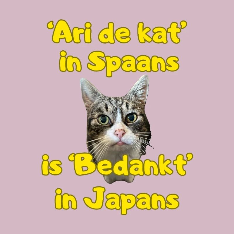 Ari die Katze
