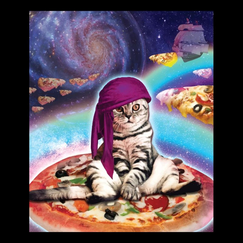 Pizza Space Cat