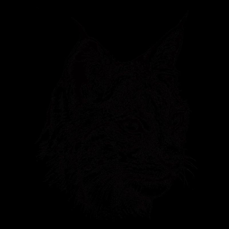 Luchs