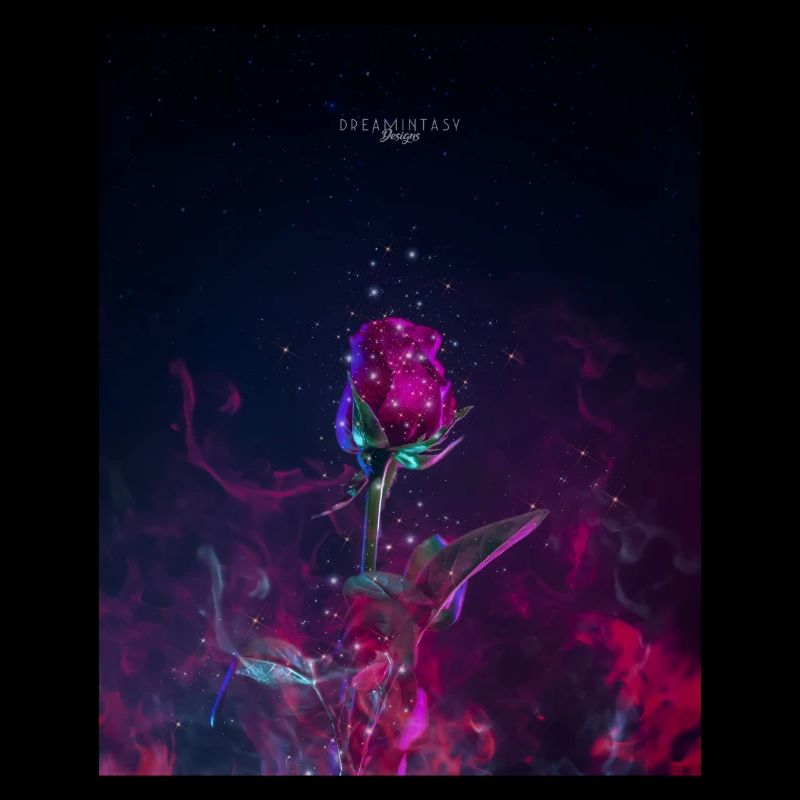 Magic Rose
