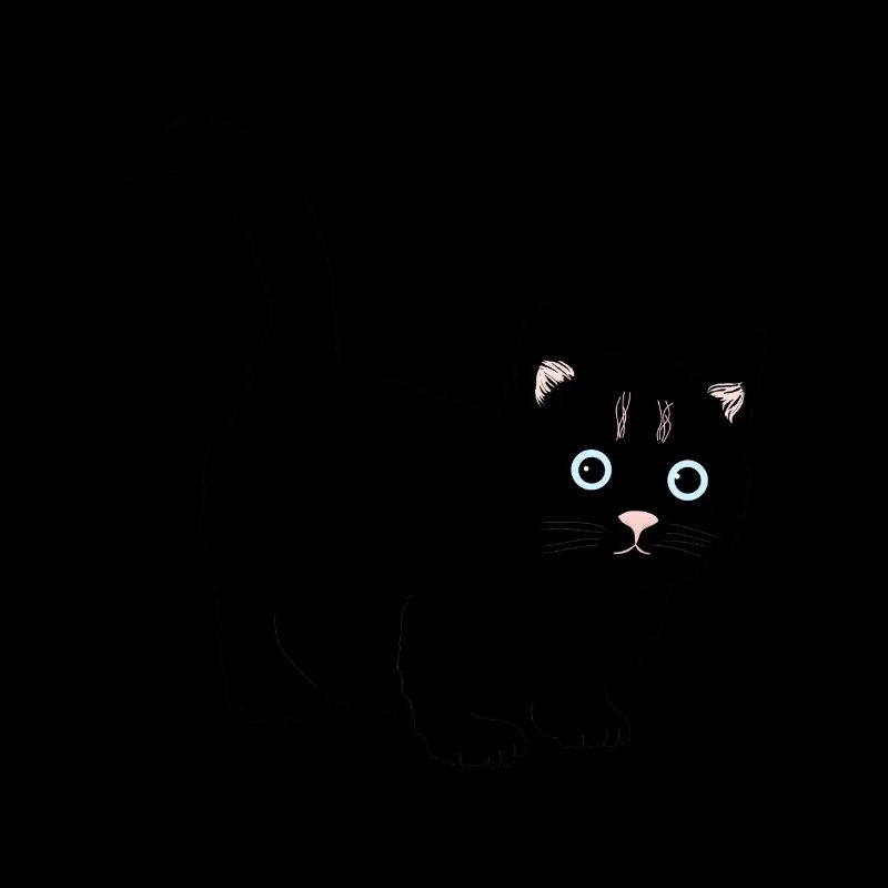 Cat black