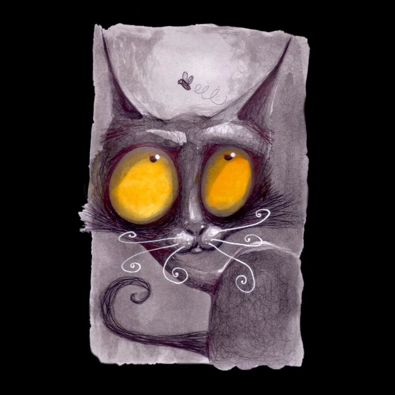Série Cat 06