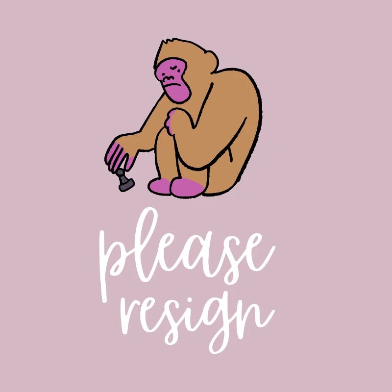 Chess Please Resign