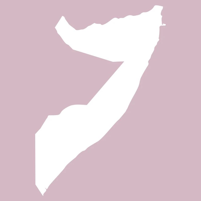 Somalia map flag