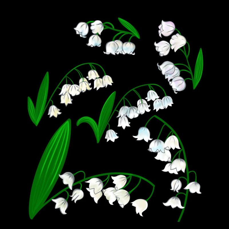 Lys de la vallée