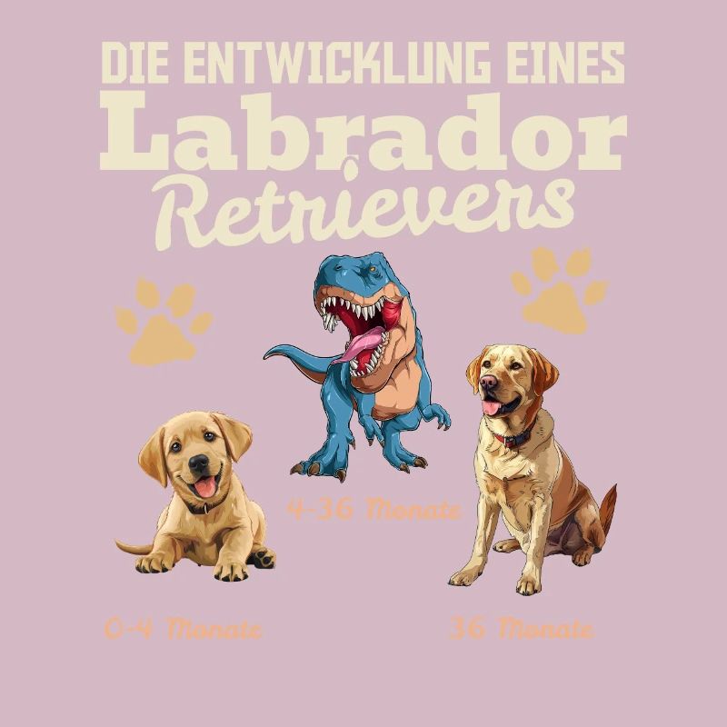 Hundebesitzer DIE EVOLUTION EINES LABRADOR
