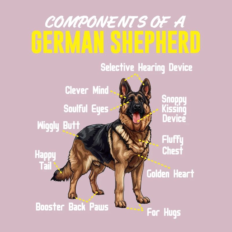 Schäferhund KOMPONENTEN EINES DEUTSCHEN