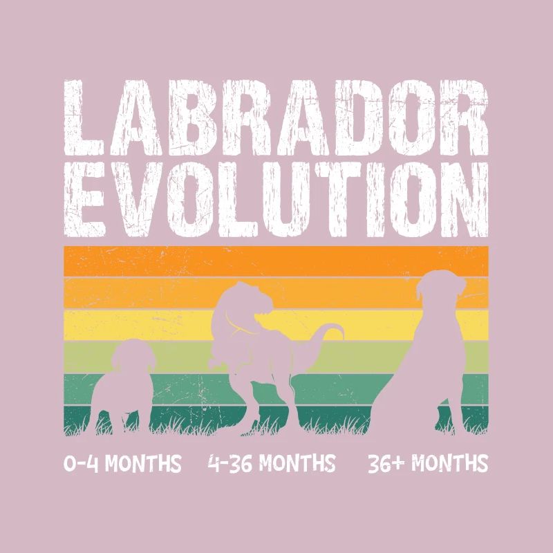 Labrador EVOLUTION Labrador Lover Drôle