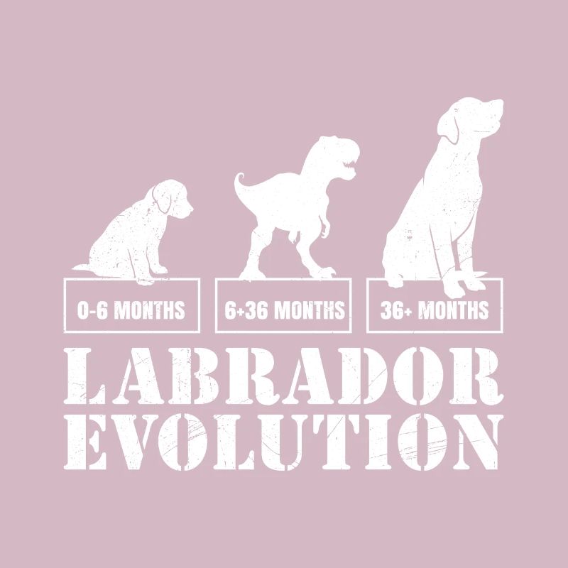 Labrador EVOLUTION Labrador Lover Drôle