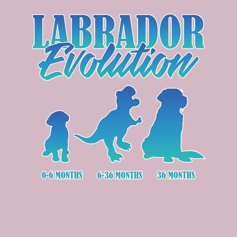 LABRADOR EVOLUTION Labrador Besitzer Lustiges