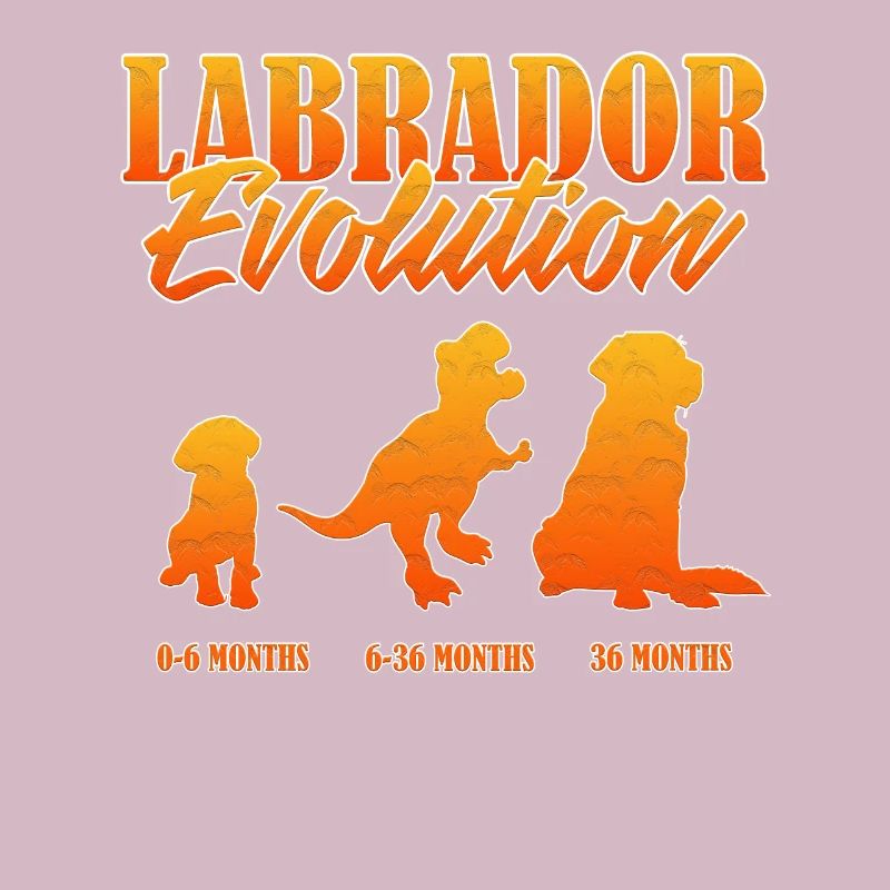 LABRADOR EVOLUTION Labrador Propriétaire Drôle