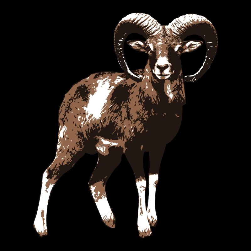 Mouflon