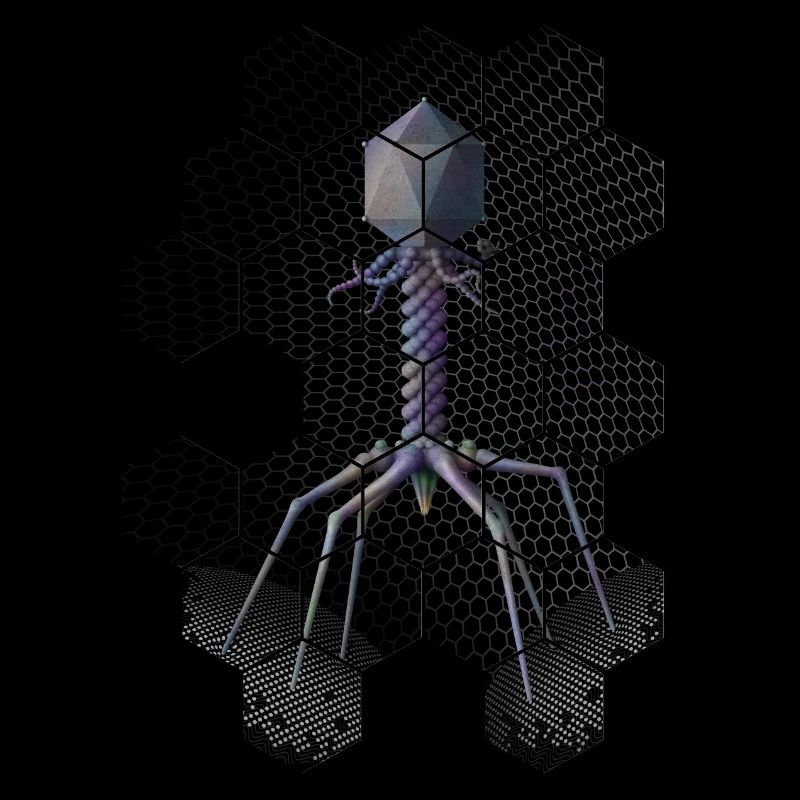Phage