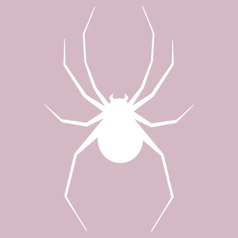 Spinne