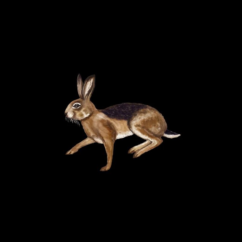 Rabbit without a cause
