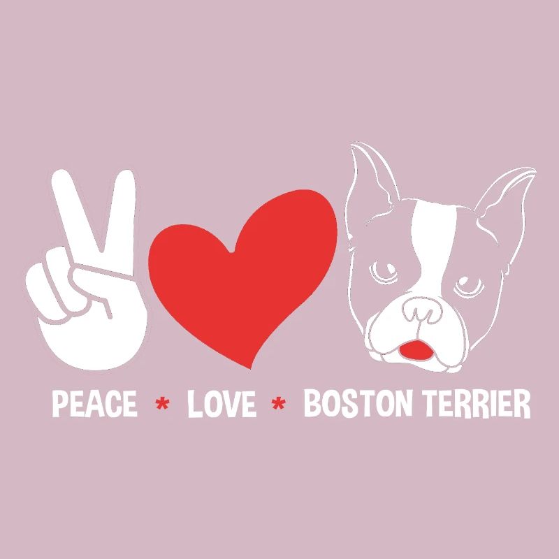 Boston Terrier