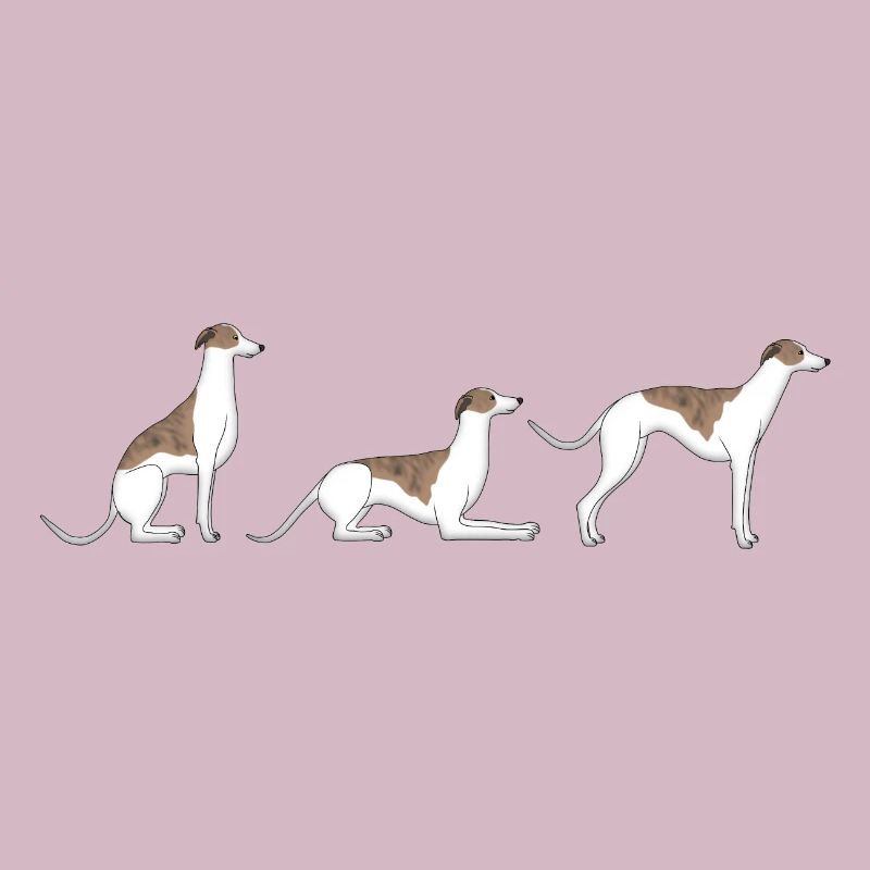 Sitz Platz Steh Whippet
