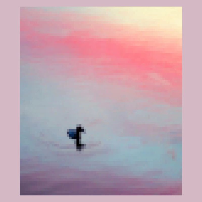 pixelated duck