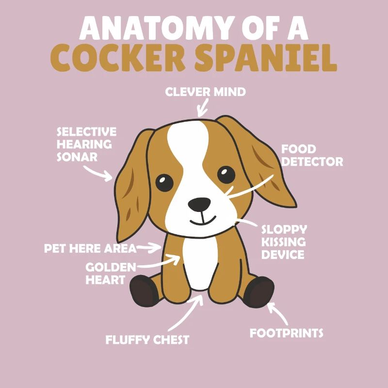 Anatomie eines Cocker Spaniel süße Hunde Welpe