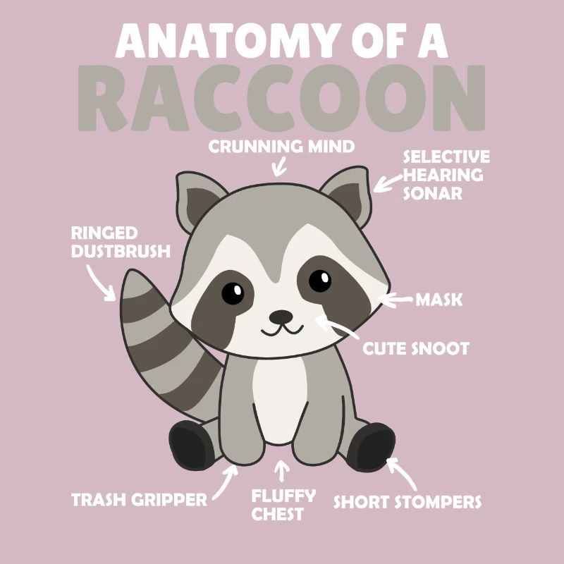 explication du raton laveur doux Anatomie d’un raton laveur