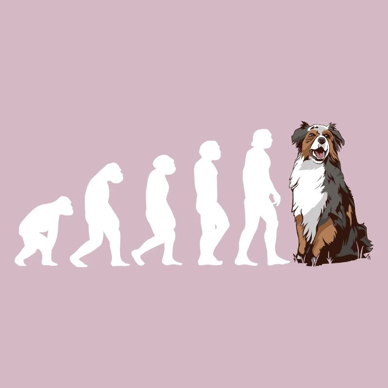 Évolution du chien Aussie