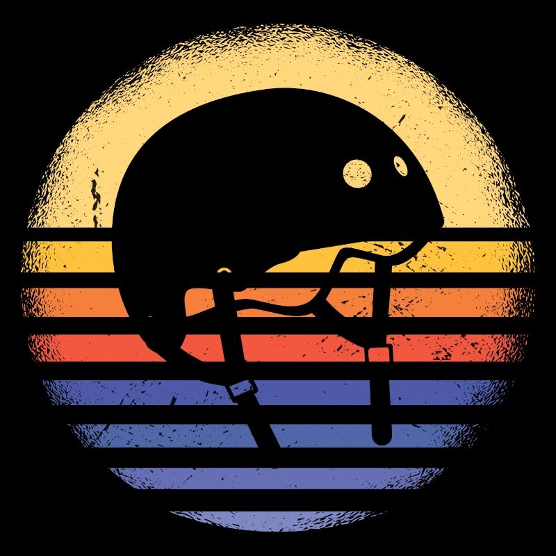 Sport Retro Sunset Roller Derby
