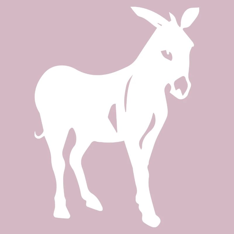 Donkey Esel