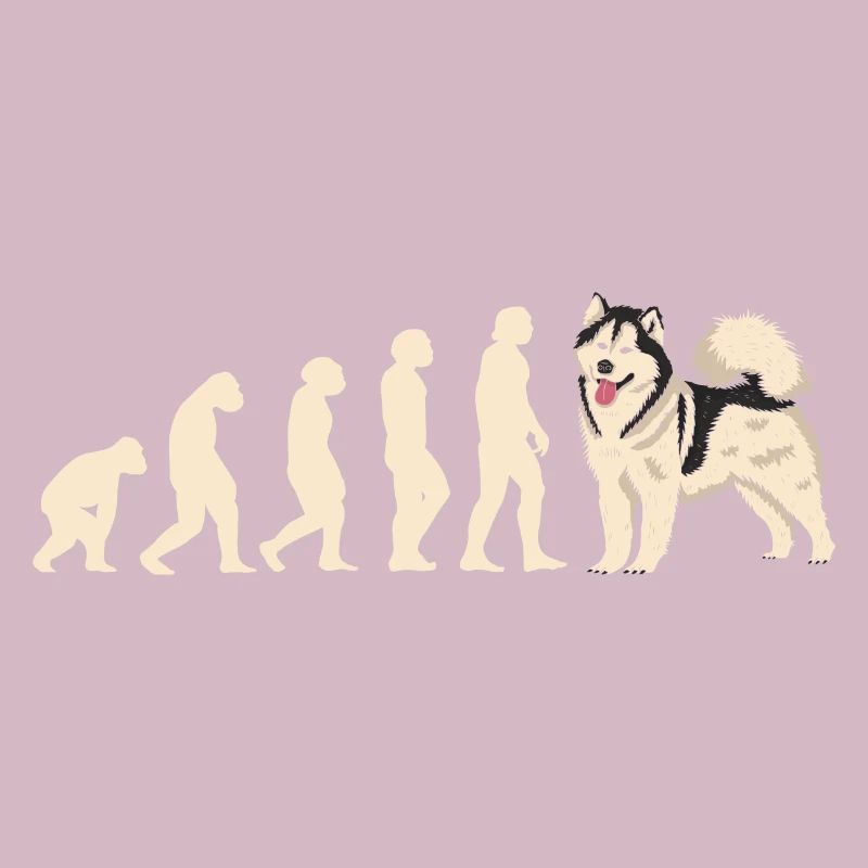 Evolution Alaskan Malamute