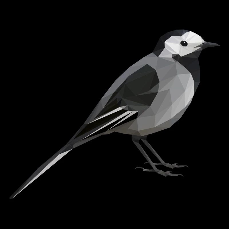 wagtail