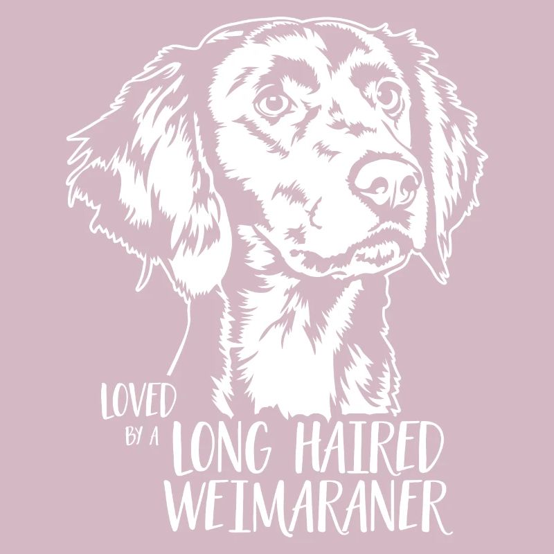 Loved by a Long Haired Weimaraner Hunde Wilsigns