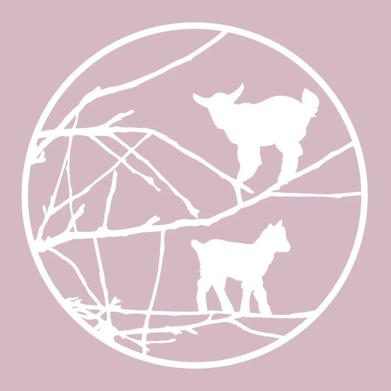 Ziegen im Baum | Goats in a tree