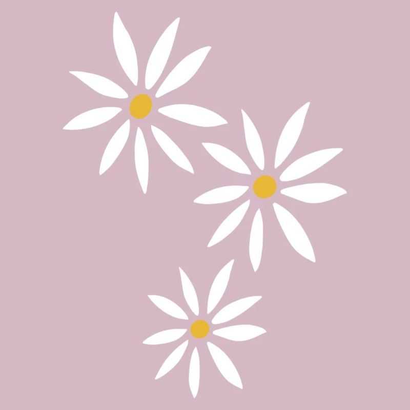 Daisy flowers spring