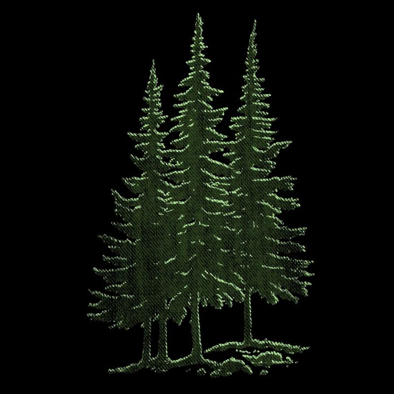 Forest, Spruce, Fir Trees