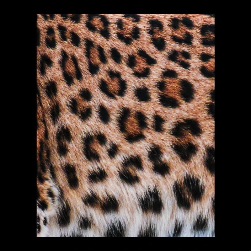 Peau de léopard