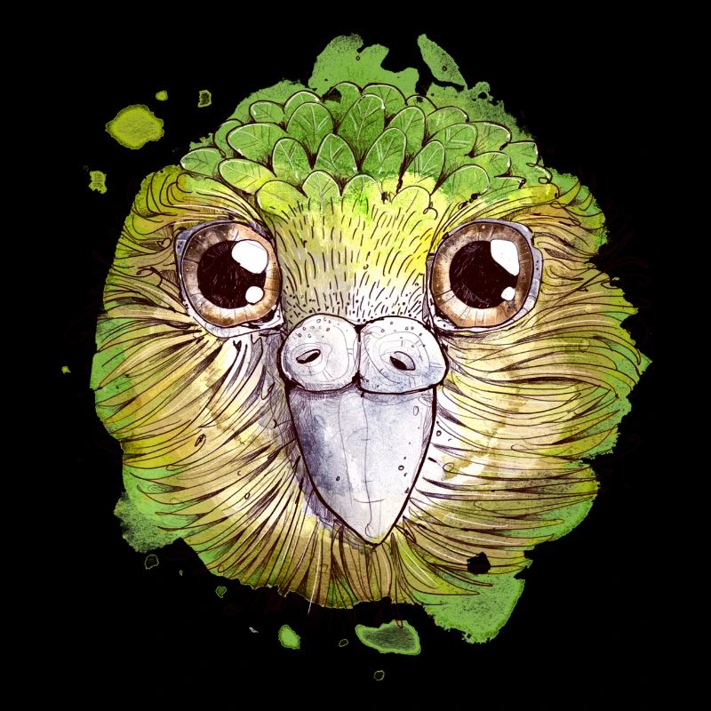 Kakapo Vogel