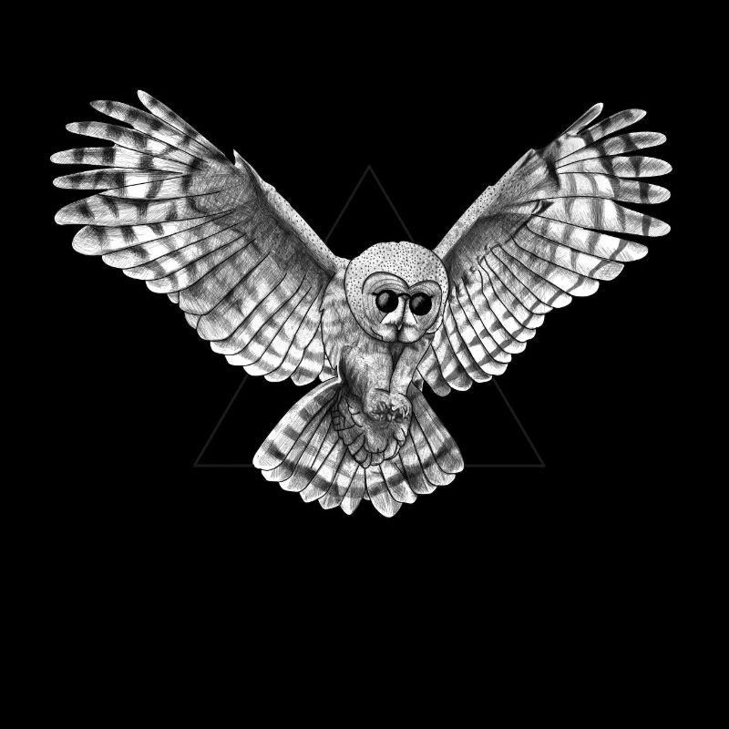 Owl Yeah