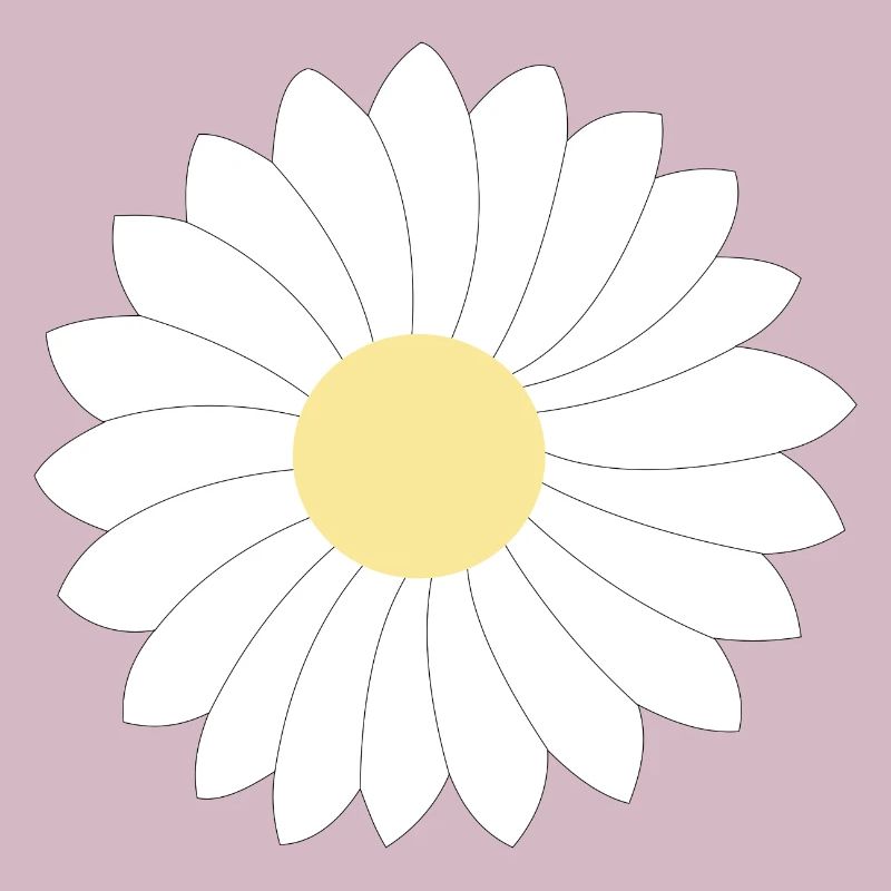 Gänseblümchen