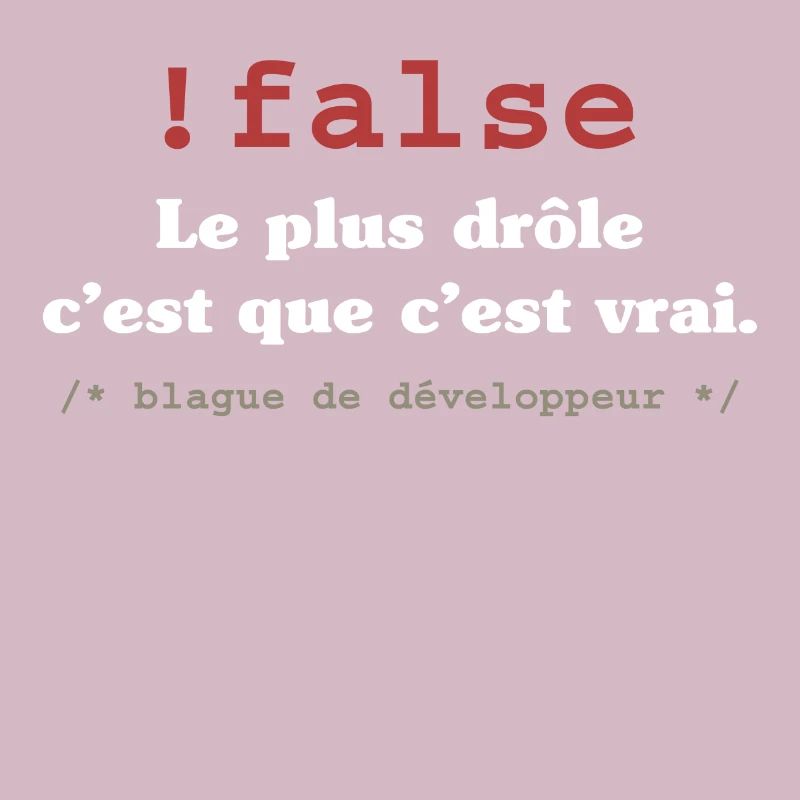 Blague programmeur développeur codeur informatique