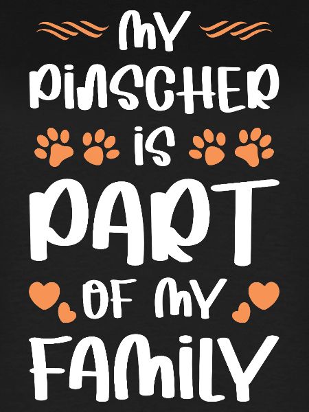PINSCHER